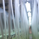 Illustration for article titled A Rare Peek Inside a Factory Where Toilets Are Born